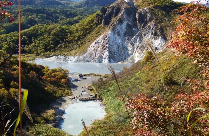 🌳 오무로 공원(오오무로 코엔) 이미지 4